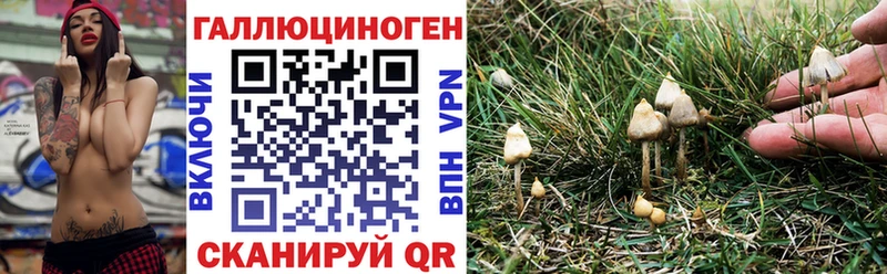 Галлюциногенные грибы ЛСД  Купить закладки  Темрюк 